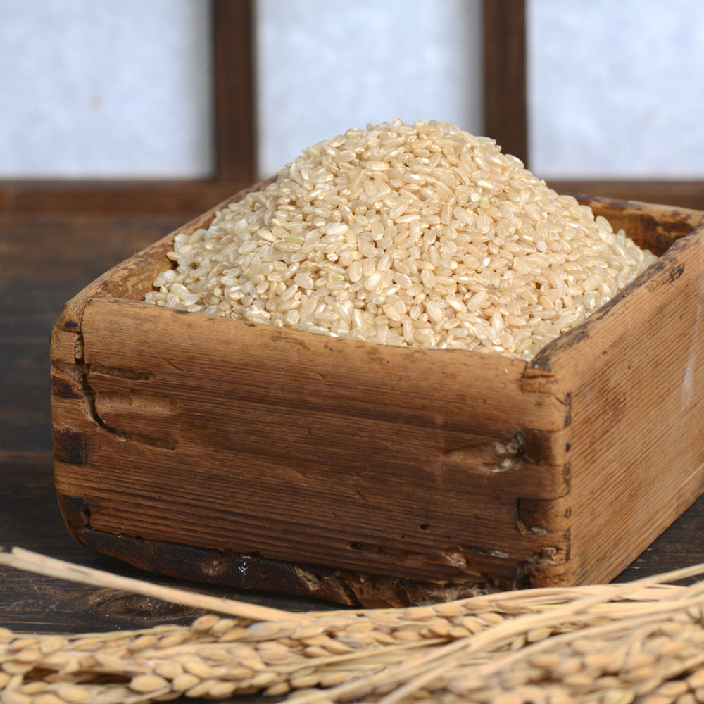 산지직송 맛있는 현미 쌀 [ 유기농 현미 멥쌀 4kg ] 일반현미